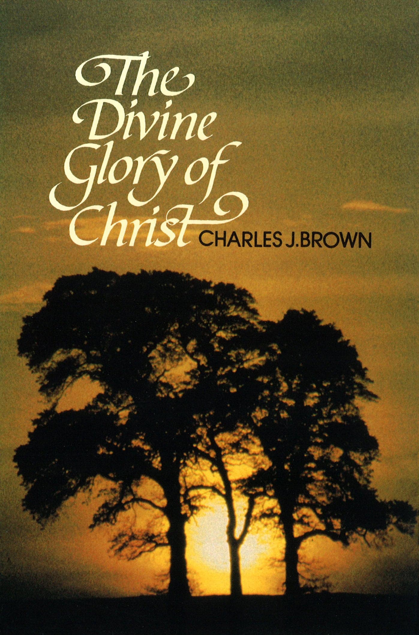 Cover of The Divine Glory of Christ
