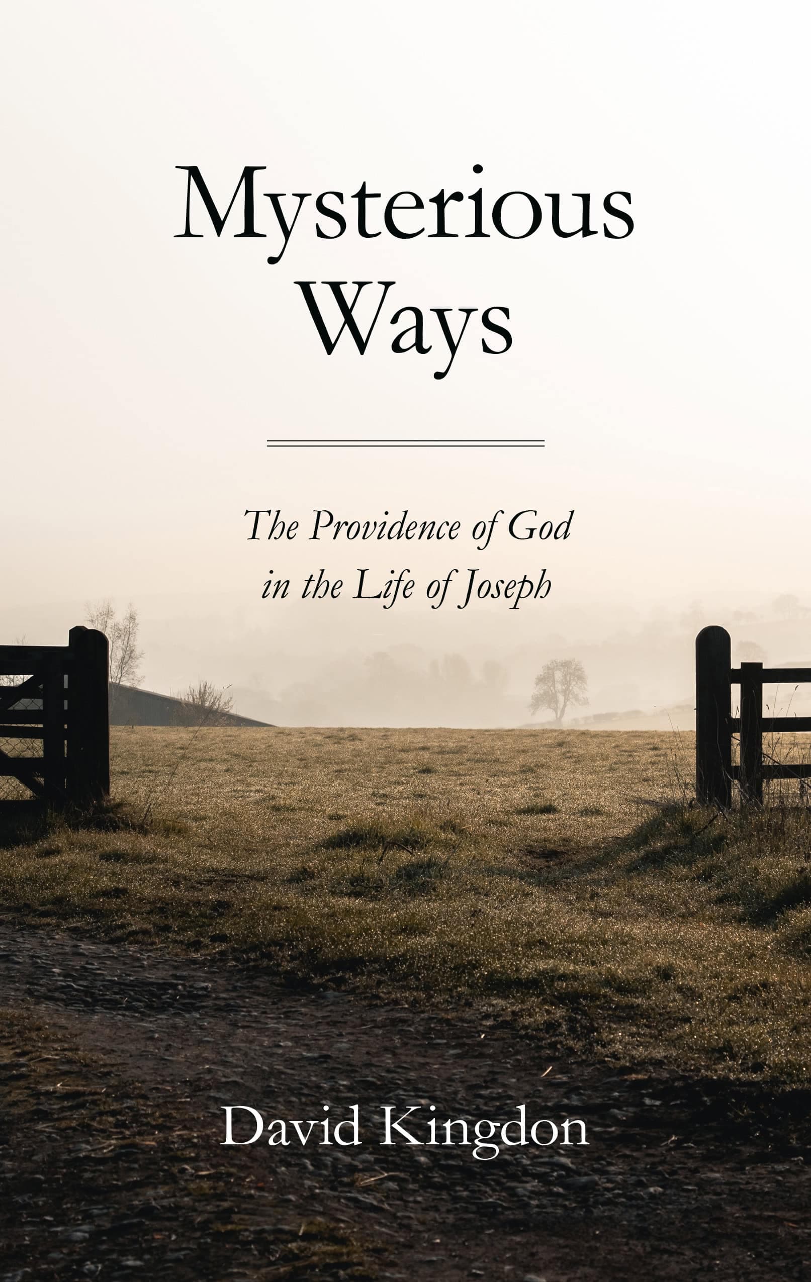 Cover of Mysterious Ways