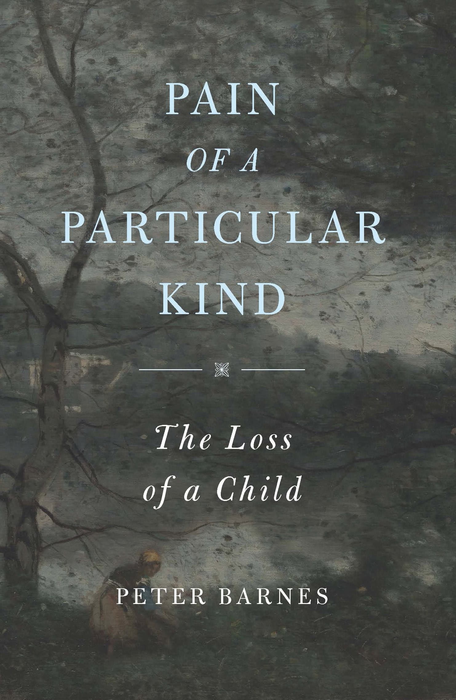 Cover of Pain of a Particular Kind