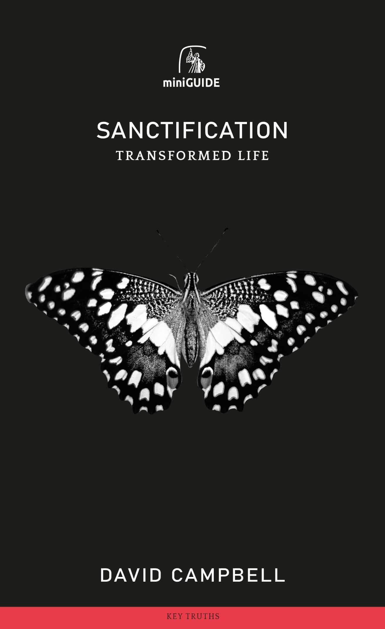 Cover of Sanctification