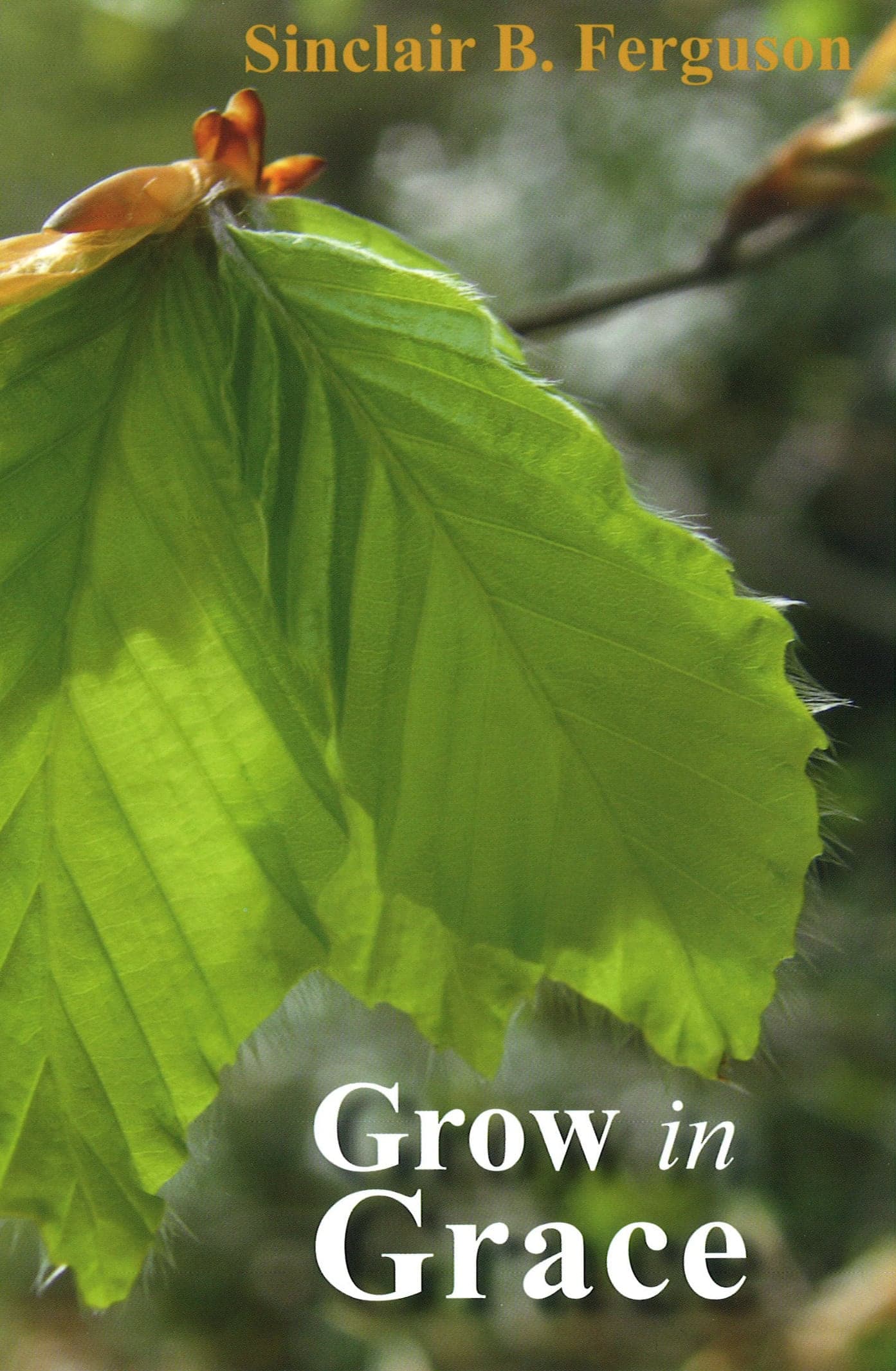 Cover of Grow In Grace