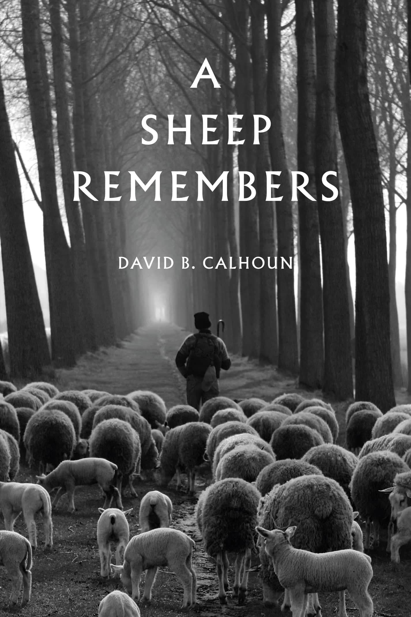Cover of A Sheep Remembers